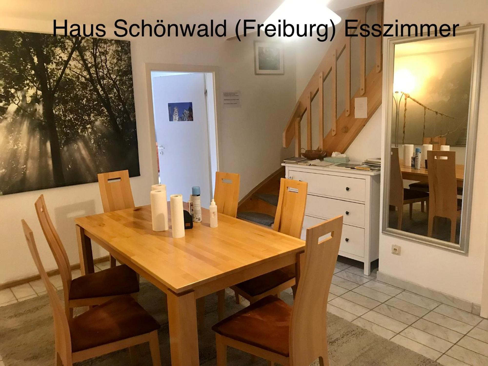 Haus Schönwald Freiburg im Breisgau Exterior foto
